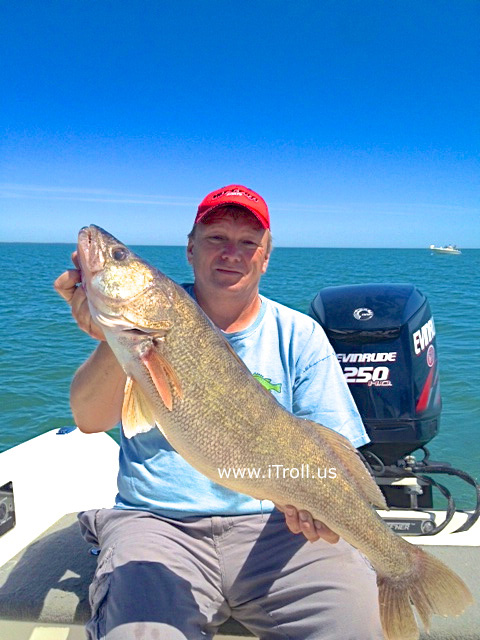 13.9 lb Walleye caught with iTroll Speed + Throttle controller Sin HUNT Mode!