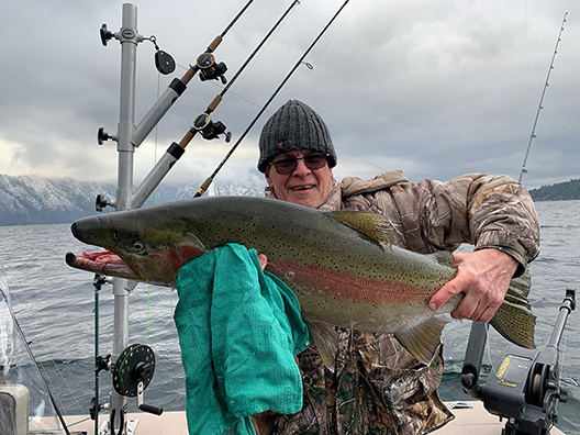 Trout