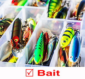 Bait graphic